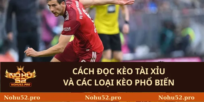 Tìm Hiểu Chi Tiết Về Kèo Tài Xỉu – Bí Quyết Chơi Nohu52 Hiệu Quả 2 Cách đọc kèo tài xỉu và các loại kèo phổ biến