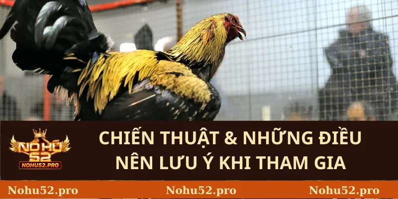 Đá Gà Cựa Sắt – Luật Chơi Nohu52 Và Những Điều Cần Biết 3 Chiến Thuật & Những Điều Nên Lưu Ý Khi Tham Gia