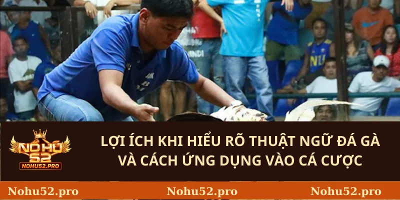 Thuật Ngữ Đá Gà: Giải Mã Các Thuật Ngữ Quan Trọng 3 Lợi Ích Khi Hiểu Rõ Thuật Ngữ Đá Gà Và Cách Ứng Dụng Vào Cá Cược